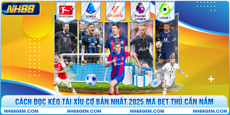 Cách Đọc Kèo Tài Xỉu Cơ Bản Nhất 2025 Mà Bet Thủ Cần Nắm