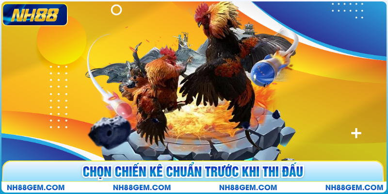 Chọn chiến kê chuẩn trước khi thi đấu
