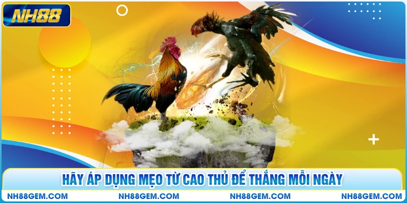 Hãy áp dụng mẹo từ cao thủ để thắng mỗi ngày