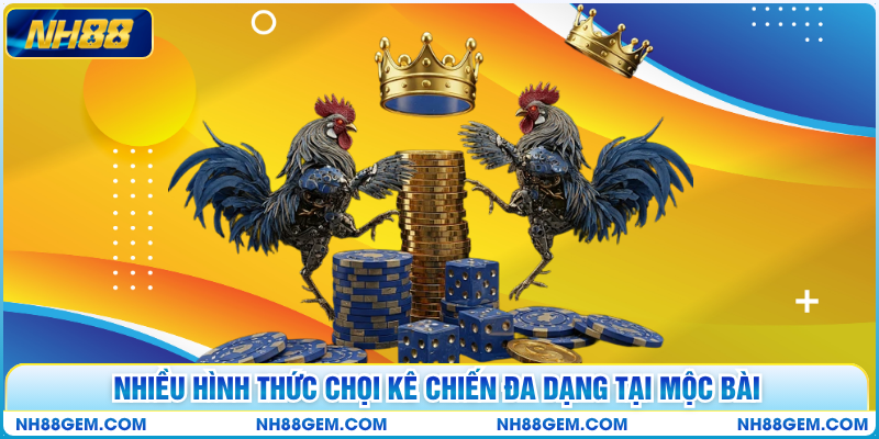 Nhiều hình thức chọi kê chiến đa dạng tại Mộc Bài