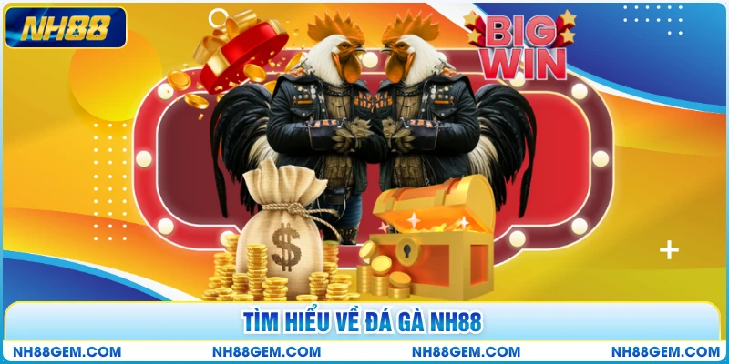 Tìm hiểu về đá gà NH88